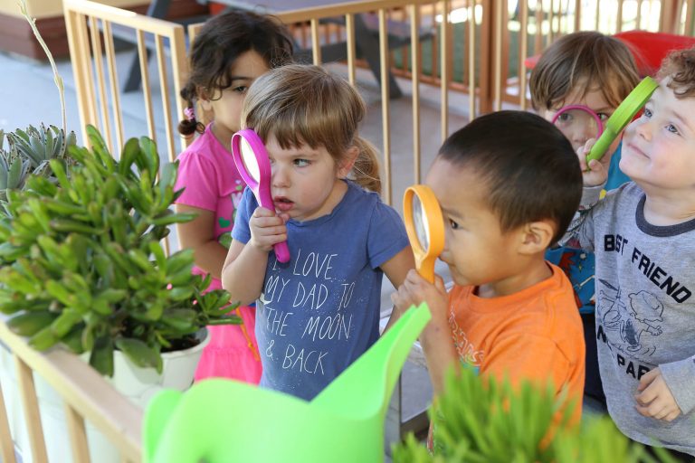 Pasadena-Preschool-outdoor-science